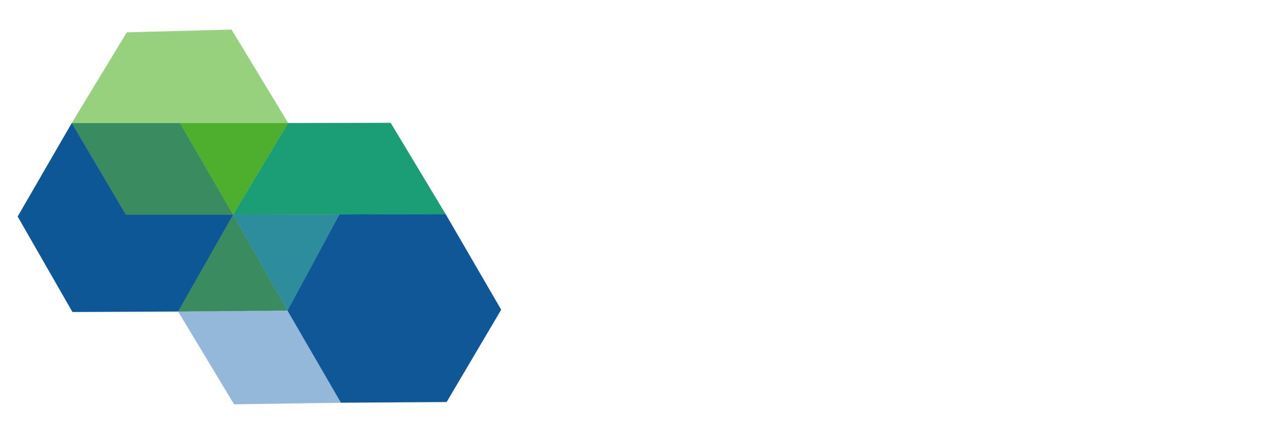 logo-maha-white